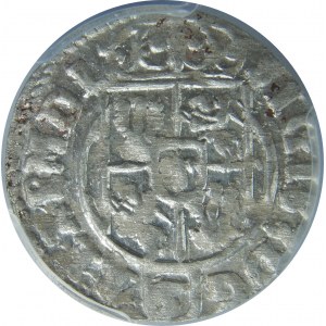 Zygmunt III Waza, Półtorak 1624, Bydgoszcz, PCGS MS63