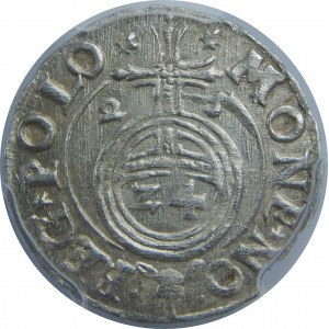 Zygmunt III Waza, Półtorak 1625, Bydgoszcz, PCGS MS63