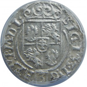 Zygmunt III Waza, Półtorak 1625, Bydgoszcz, PCGS MS63