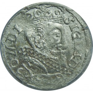 Zygmunt III Waza, Trojak 1599, Bydgoszcz, PCGS MS63 