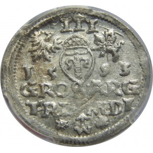 Zygmunt III Waza, Trojak 1593, Wilno, PCGS MS63
