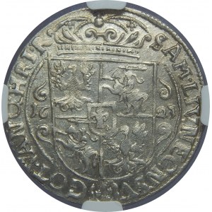 Zygmunt III Waza, Ort 1623, Bydgoszcz, NGC MS62