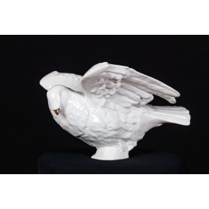 Sylwia WALANIA-TELEGA (b. 1995), White pigeon with wings spread, 2022