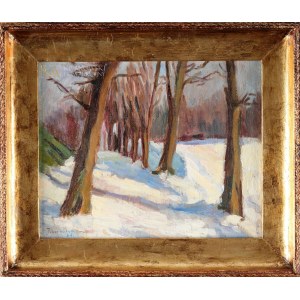 Jadwiga KLIMOÑCZYK (1908-?), Winter Alley (1934)