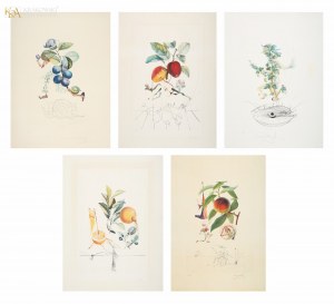 Salvador DALI (1904-1989), Set of five works from the series 