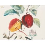 Salvador DALI (1904-1989), Zestaw pięciu prac z cyklu Flordali - Les Fruits (1969)