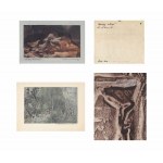 Ildefons HOUWALT (1910-1987), Zestaw czterech prac o tematyce pejzażowej