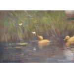 Constant David Ludovic ARTZ (1870-1951), Ducks by the Pond