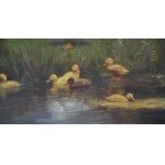 Constant David Ludovic ARTZ (1870-1951), Ducks by the Pond