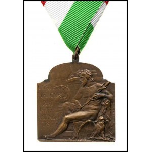 AUSTRIA/HUNGARY Medal of Medical Congress In Budapest