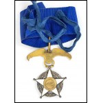 CHILE Order of merit, Insignia for Commander