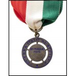 ITALY, KINGDOM Italy Medal Xiii Army Corps
