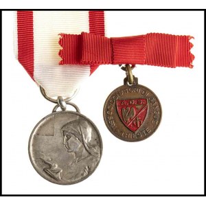 ITALY, KINGDOM Medal of Merit of the Red Cross And Blood Donors Medal of Trieste