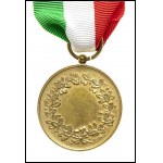 ITALY, KINGDOM Valor Civile Gold Medal