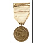 UNITED KINGDOM 1918 Red Cross Society Medal, Inter Arma Caritas