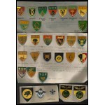 SOUTH AFRICA Lot of sleve shields and badges