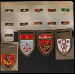 SOUTH AFRICA Lot of sleve shields and badges