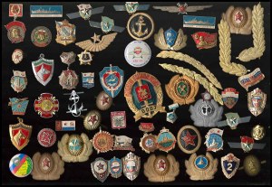 USSR/RUSSIA Large batch of aluminum badges