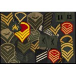 USA Lot of 90 ranked badges
