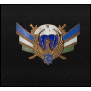 UZBEKISTAN Parachutist badge