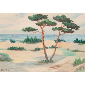 Maler unbestimmt (20. Jahrhundert), Dünen am Meer