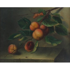 Malarz nieokreślony, niemiecki (?), 1 poł. XIX w., Brzoskwinie, 1844