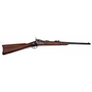 Karabina Springfield model 1873