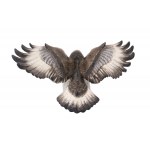 Figur eines Adlers, Rosenthal