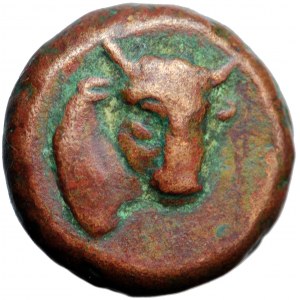 Greece, Tauric Chersonesos, Pantikapaion, AE14, 4th-3rd cent. BC
