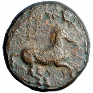 Greece, Cyrenaica, Cyrene, Ptolemaic Kingdom, Ptolemaic Governor Nikonos, Ophellas magistrate, AE Bronze, c. 322-313 BC