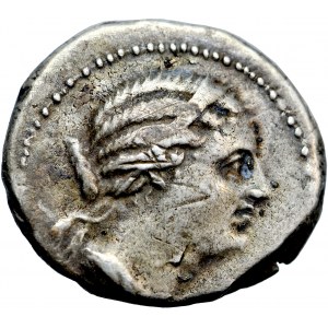 Řecko, Ptolemaiovské království, Euesperidés, Bereniké I., didrachma po roce 272 př. n. l.