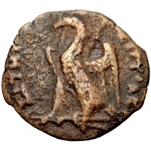 Grécko, Ptolemaiovské kráľovstvo, Kyrenaika, Kyréna, Ptolemaios VIII Euergetes II, bronz 163-145 pred Kr.