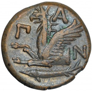 Kimmerský bospor, Pantikapaion, bronzový nominál, 310-303 př. n. l.