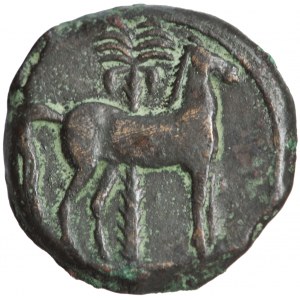 Carthaginian Empire, Sicily or Carthage, AE Shekel, circa 400-280 BC