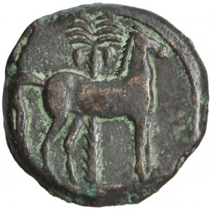 Imperium Kartagińskie, Sycylia lub Kartagina, szekel, ok. 400-280 przed Chr.