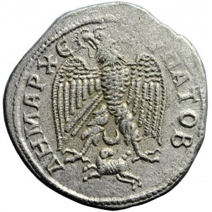 Sýria, Antiochia, tetradrachma, Gordian III, 242-244