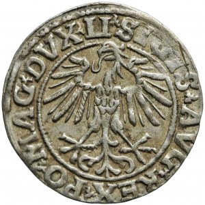 Lithuania, Sigismund II Augustus, half-groschen 1551, Vilna (Vilnius) mint