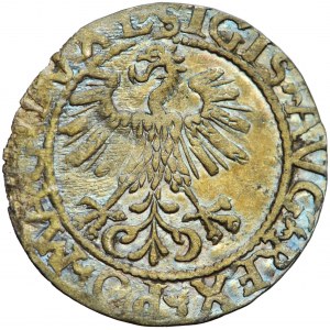 Lithuania, Sigismund II Augustus, half-groschen 1561, Vilna mint