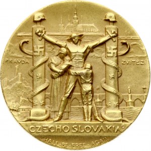 Czechoslovakia Medal 1939 'Czechoslovakia Freedom'