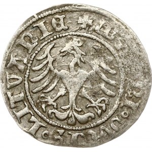 Lithuania 1/2 Grosz 1509 Vilnius (RR) RARE