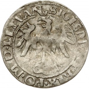 Lithuania Grosz 1536 I Vilnius (R) - VF