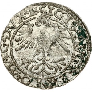 Lithuania Polgrosz 1562 Vilnius - L/LITVA - XF