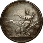 Russia Medal (1860) of the Imperial Free Economic Society RARE