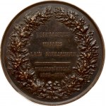 Russia Medal in Memory of the Finnish Diet 1863-1864