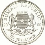 Somalia 250 Shillings 2000 Rhinoceros