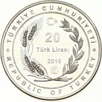 Turkey 20 Lira 2019 Dede Korkut