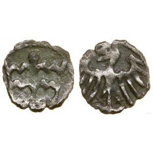Poland, crown denarius, no date