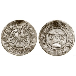 Poland, Crown half-penny, no date (1502-1506), Cracow