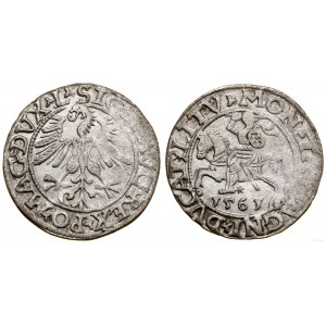 Polska, półgrosz, 1561, Wilno