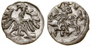 Poland, denarius, 1557, Vilnius